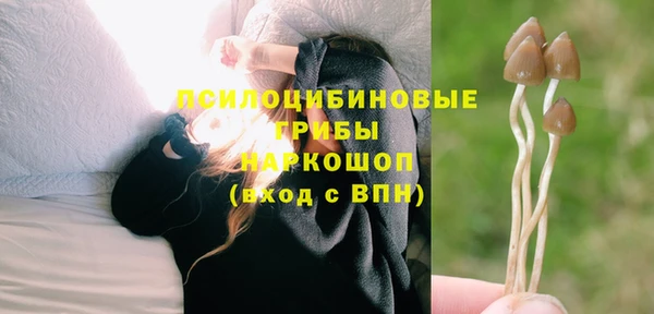 гидропоника Богданович