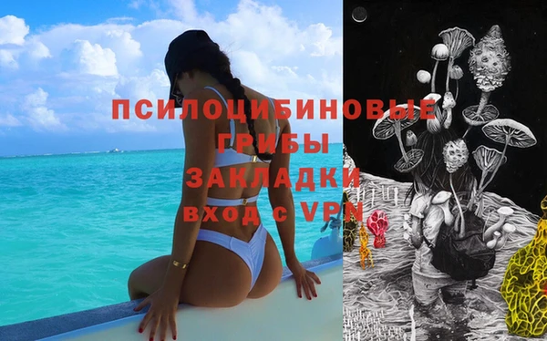 спайс Богородицк