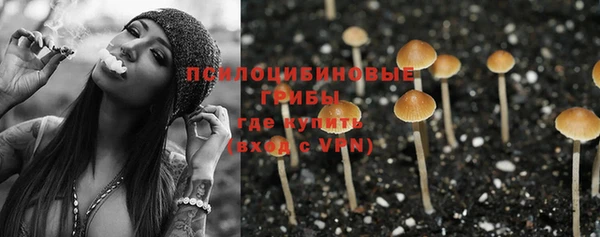 гидропоника Богданович