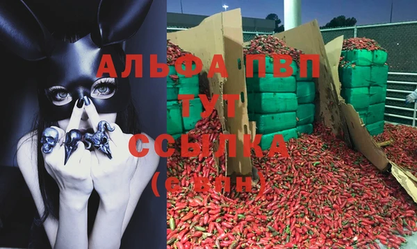 спайс Богородицк
